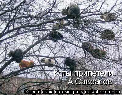 Котоматрица: Коты прилетели. А.Саврасов