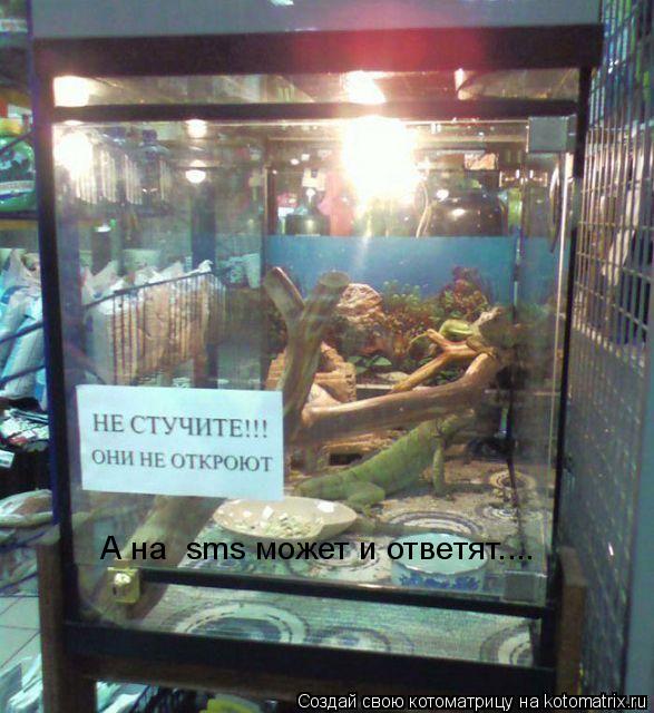 А на sms может и ответят....... Котоматрица: А на sms может и ответят....