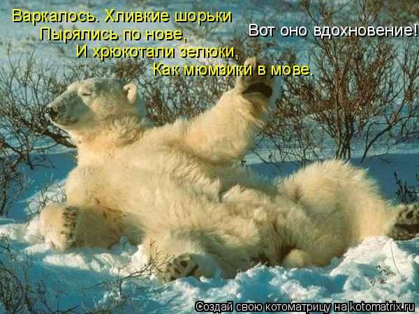 Варкалось. Хливкие шорьки Пырялись по нове, И хрюкотали зелюки, Как мюмзики в мове. Вот оно вдохновен... Котоматрица: Варкалось. Хливкие шорьки Пырялись по нове, И хрюкотали зелюки, Как мюмзики в мове. Вот оно вдохновение!