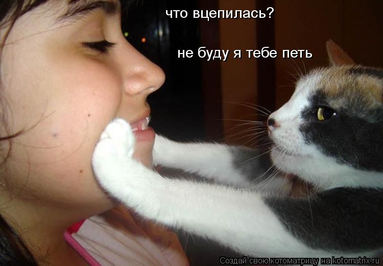 что вцепилась? не буду я тебе петь... Котоматрица: что вцепилась? не буду я тебе петь