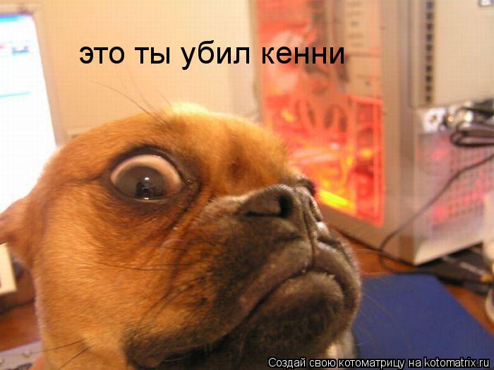 это ты убил кенни... Котоматрица: это ты убил кенни