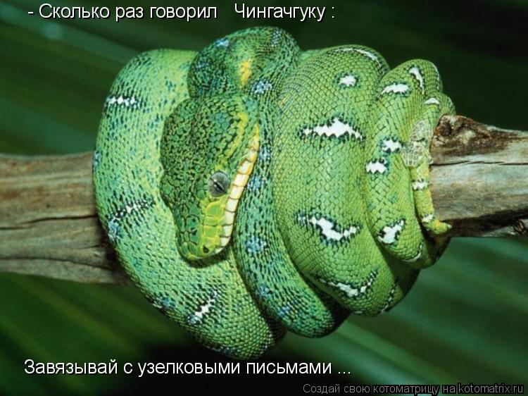- Сколько раз говорил Чингачгуку : Завязывай с узелковыми письмами ...... Котоматрица: - Сколько раз говорил Чингачгуку : Завязывай с узелковыми письмами ...