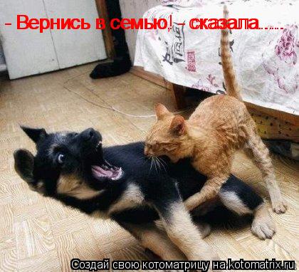 - Вернись в семью! - сказала..... - Вернись в семью, - сказала........ Котоматрица: - Вернись в семью! - сказала..... - Вернись в семью, - сказала.....
