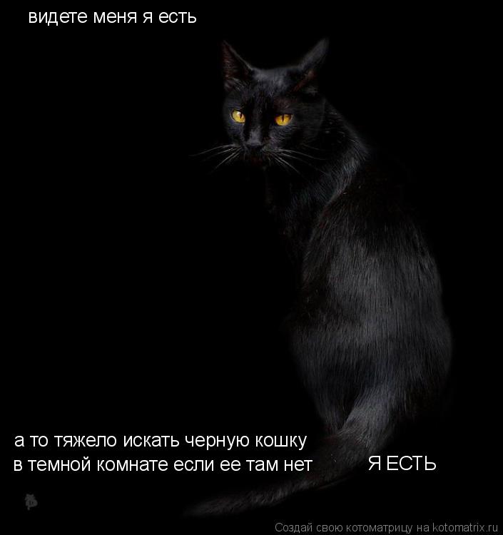 Приснилась кошка черная