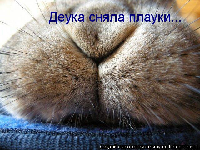 Деука сняла плауки...... Котоматрица: Деука сняла плауки...