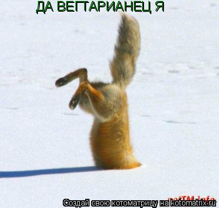 ДА ВЕГТАРИАНЕЦ Я... Котоматрица: ДА ВЕГТАРИАНЕЦ Я