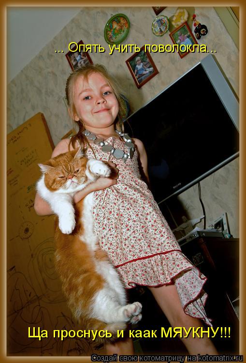 ... Опять учить поволокла... Ща проснусь и каак МЯУКНУ!!!... Котоматрица: ... Опять учить поволокла... Ща проснусь и каак МЯУКНУ!!!