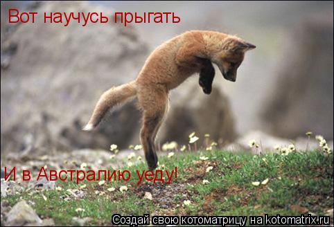 Вот научусь прыгать И в Австралию уеду!... Котоматрица: Вот научусь прыгать И в Австралию уеду!