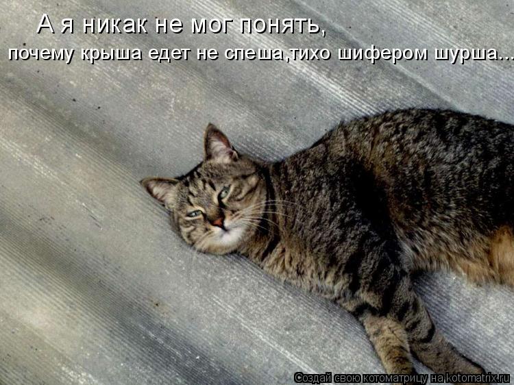 А я никак не мог понять, почему крыша едет не спеша,тихо шифером шурша...... Котоматрица: А я никак не мог понять, почему крыша едет не спеша,тихо шифером шурша...