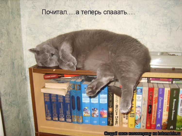 Почитал.....а теперь спааать........ Котоматрица: Почитал.....а теперь спааать.....