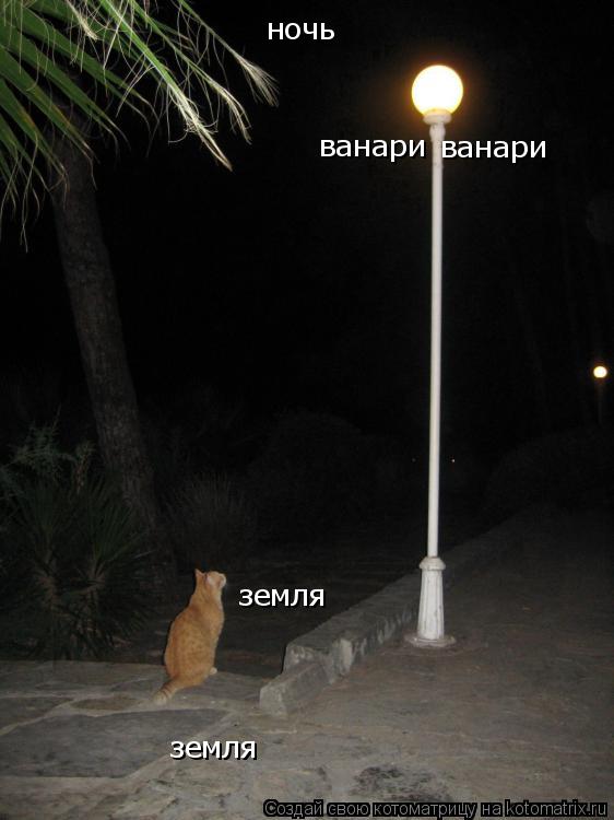 ночь ванари ванари земля земля... Котоматрица: ночь ванари ванари земля земля