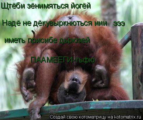 Щтёби зёнимяться йогёй Надё не дёкувыркнються иии эээ иметь присибе дьрюзей ПААМЕЕГИ-тьфю... Котоматрица: Щтёби зёнимяться йогёй Надё не дёкувыркнються иии эээ иметь присибе дьрюзей ПААМЕЕГИ-тьфю