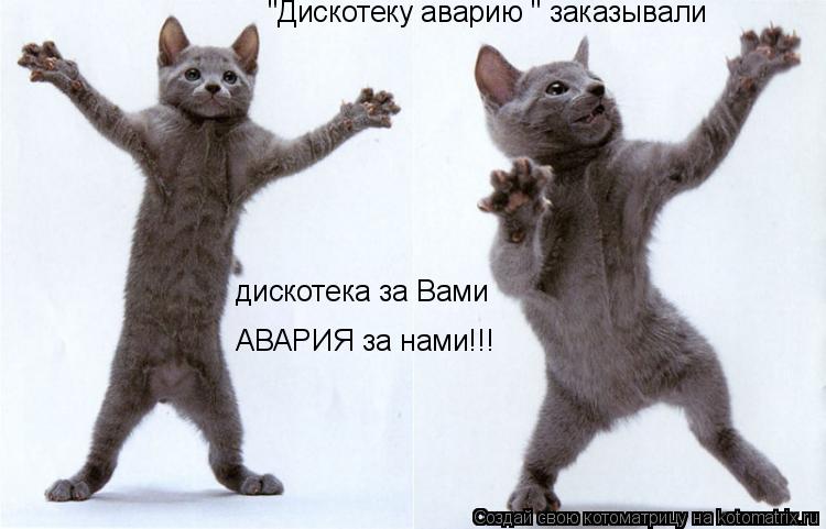 "Дискотеку аварию " заказывали дискотека за Вами АВАРИЯ за нами!!!... Котоматрица: "Дискотеку аварию " заказывали дискотека за Вами АВАРИЯ за нами!!!