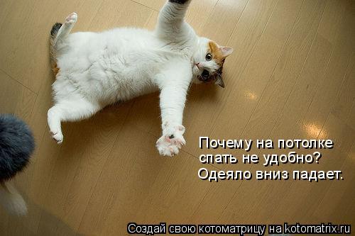 Почему на потолке спать не удобно? Одеяло вниз падает.... Котоматрица: Почему на потолке спать не удобно? Одеяло вниз падает.