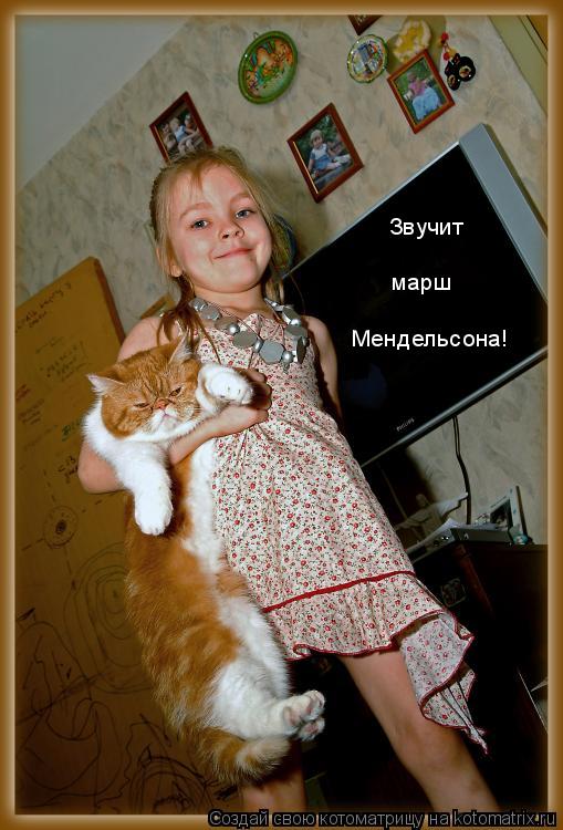 Звучит марш Мендельсона!... Котоматрица: Звучит марш Мендельсона!