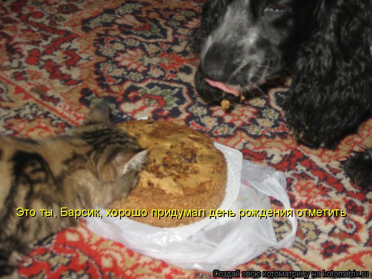 Это ты, Барсик, хорошо придумал день рождения отметить... Котоматрица: Это ты, Барсик, хорошо придумал день рождения отметить