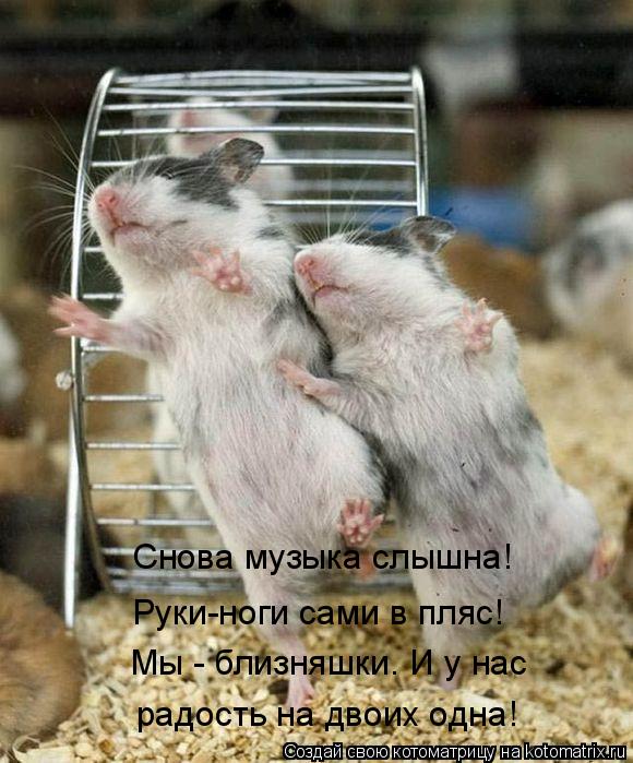 Снова музыка слышна! Руки-ноги сами в пляс! Мы - близняшки. И у нас радость на двоих одна!... Котоматрица: Снова музыка слышна! Руки-ноги сами в пляс! Мы - близняшки. И у нас радость на двоих одна!