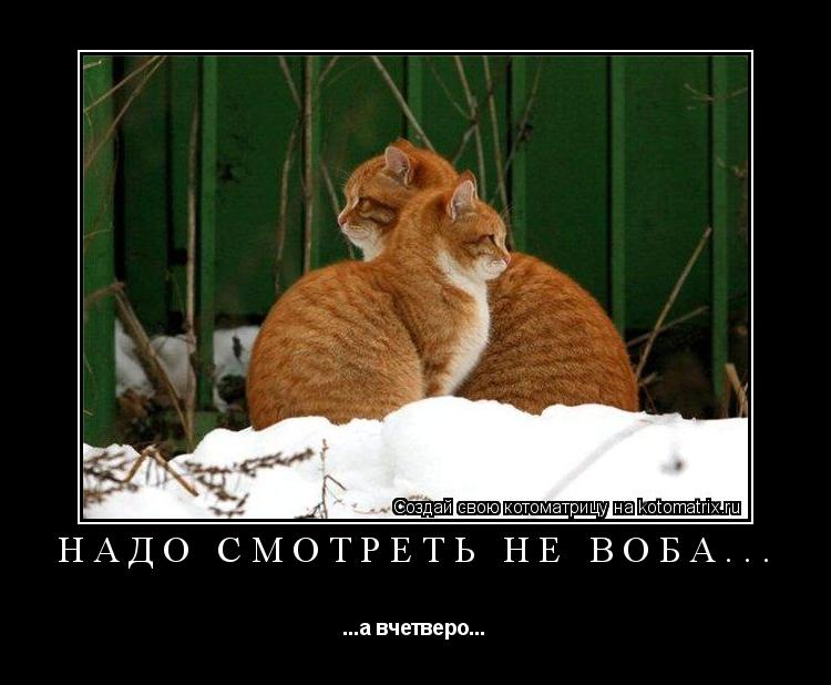 Надо смотреть не воба... ...а вчетверо...... Котоматрица: Надо смотреть не воба... ...а вчетверо...