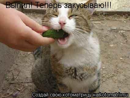 Выпил! Теперь закусываю!!!... Котоматрица: Выпил! Теперь закусываю!!!