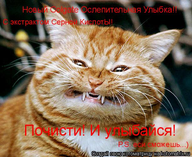 Новый Colgate Ослепительная Улыбка!! Почисти! И улыбайся! P.S. еси сможешь...) С экстрактом Серной Ки... Котоматрица: Новый Colgate Ослепительная Улыбка!! Почисти! И улыбайся! P.S. еси сможешь...) С экстрактом Серной КислотЫ!
