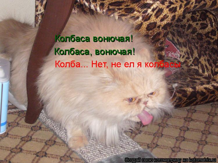 Колбаса, вонючая! Колбаса вонючая! Колба... Нет, не ел я колбасы... Котоматрица: Колбаса, вонючая! Колбаса вонючая! Колба... Нет, не ел я колбасы
