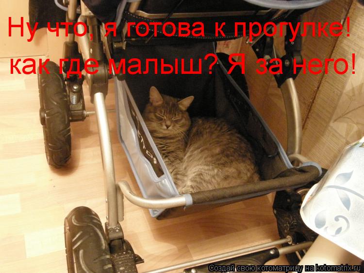 как где малыш? Я за него! Ну что, я готова к прогулке!... Котоматрица: как где малыш? Я за него! Ну что, я готова к прогулке!