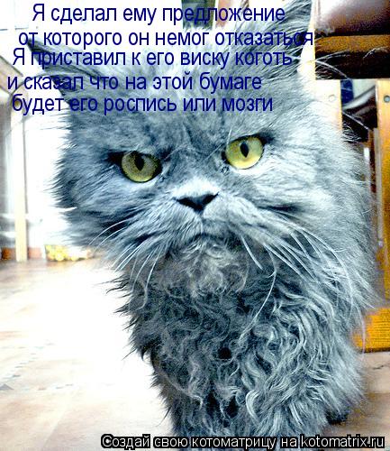 Я сделал ему предложение от которого он немог отказаться Я приставил к его виску коготь и сказал что ... Котоматрица: Я сделал ему предложение от которого он немог отказаться Я приставил к его виску коготь и сказал что на этой бумаге будет его роспись или м