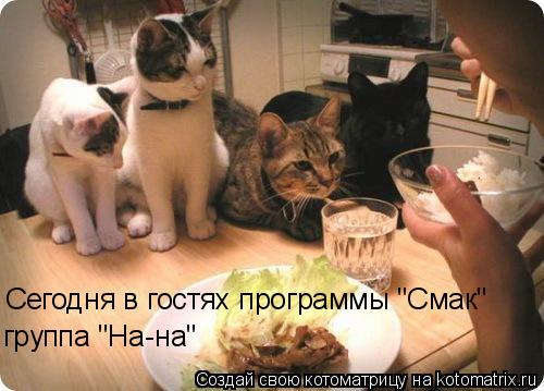 Сегодня в гостях программы "Смак" группа "На-на"... Котоматрица: Сегодня в гостях программы "Смак" группа "На-на"