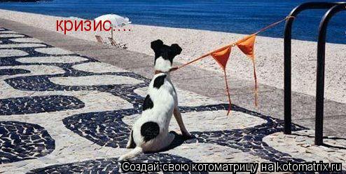 кризис....... Котоматрица: кризис....