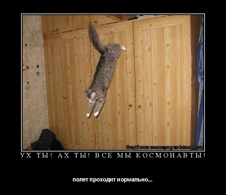 Котоматрица:  ух ты! ах ты! все мы космонавты! полет проходит нормально...