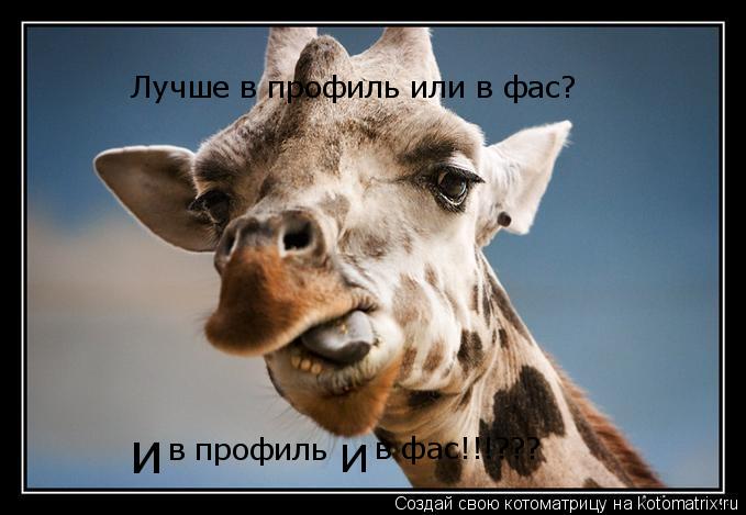 Лучше в профиль или в фас? и и в профиль в фас!!!???... Котоматрица: Лучше в профиль или в фас? и и в профиль в фас!!!???