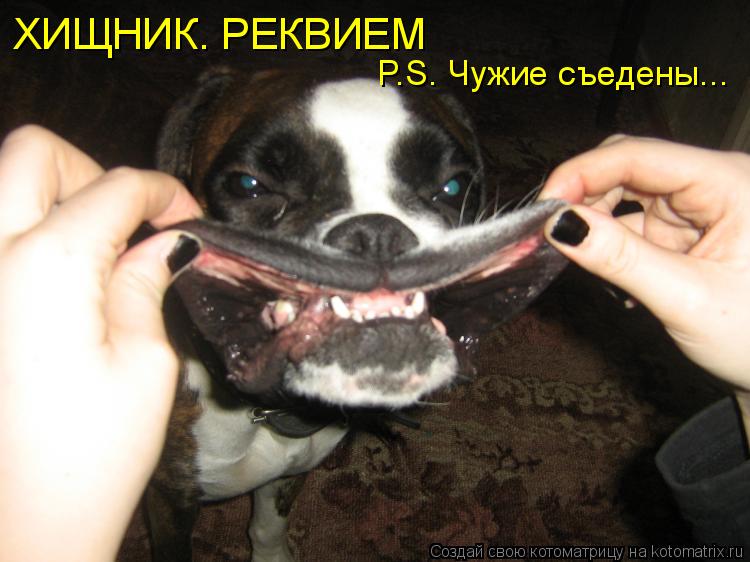 ХИЩНИК. РЕКВИЕМ P.S. Чужие съедены...... Котоматрица: ХИЩНИК. РЕКВИЕМ P.S. Чужие съедены...
