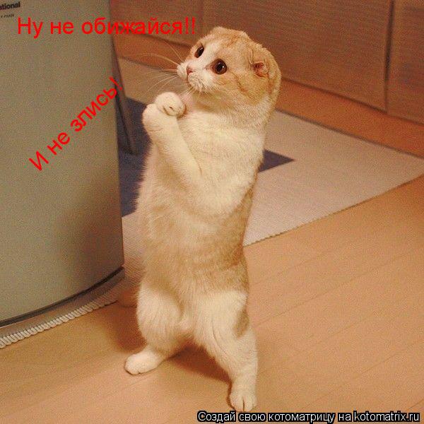 Ну не обижайся!! И не злись!... Котоматрица: Ну не обижайся!! И не злись!