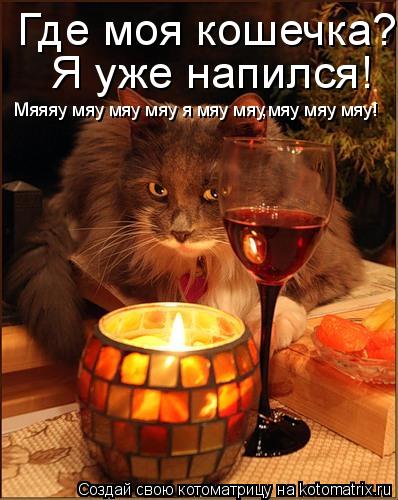 Где моя кошечка??? Я уже напился! Мяяяу мяу мяу мяу я мяу мяу,мяу мяу мяу!... Котоматрица: Где моя кошечка??? Я уже напился! Мяяяу мяу мяу мяу я мяу мяу,мяу мяу мяу!