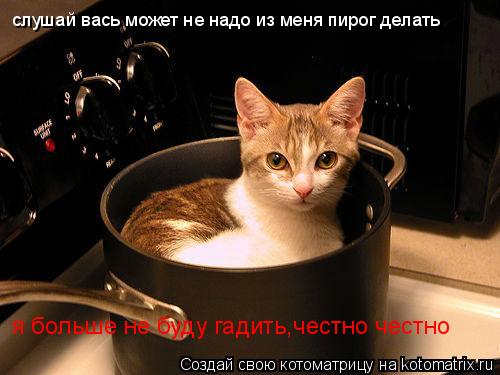 слушай вась может не надо из меня пирог делать я больше не буду гадить,честно честно... Котоматрица: слушай вась может не надо из меня пирог делать я больше не буду гадить,честно честно