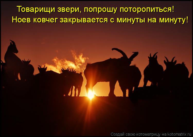 Товарищи звери, попрошу поторопиться! Ноев ковчег закрывается с минуты на минуту!... Котоматрица: Товарищи звери, попрошу поторопиться! Ноев ковчег закрывается с минуты на минуту!