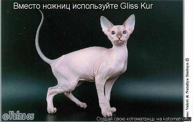 Вместо ножниц используйте Gliss Kur... Котоматрица: Вместо ножниц используйте Gliss Kur