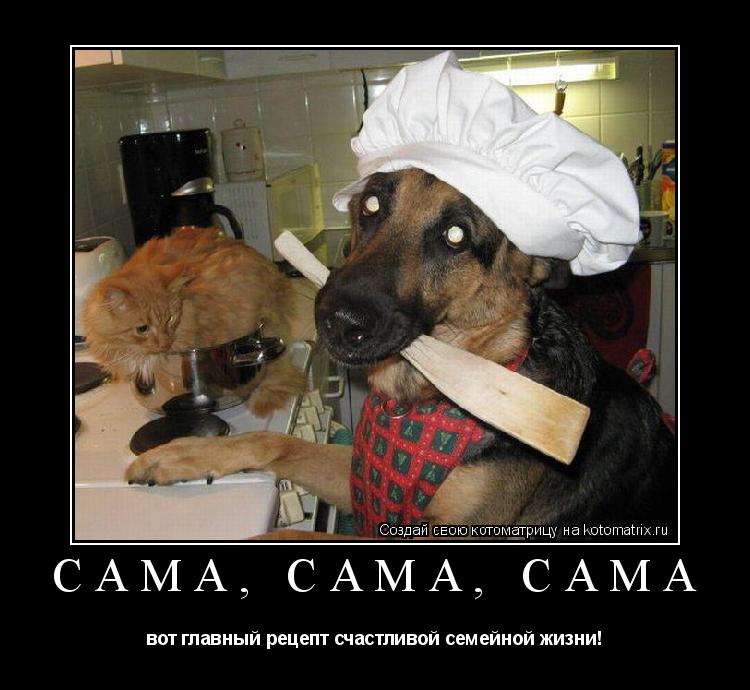 Сама, сама, сама вот главный рецепт счастливой семейной жизни!... Котоматрица: Сама, сама, сама вот главный рецепт счастливой семейной жизни!