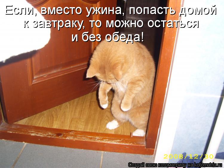 Если, вместо ужина, попасть домой к завтраку, то можно остаться и без обеда!... Котоматрица: Если, вместо ужина, попасть домой к завтраку, то можно остаться и без обеда!