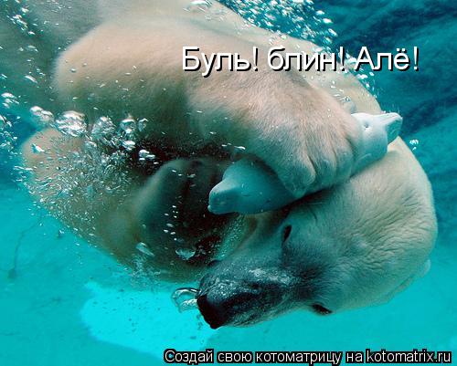 Буль! блин! Алё!... Котоматрица: Буль! блин! Алё!