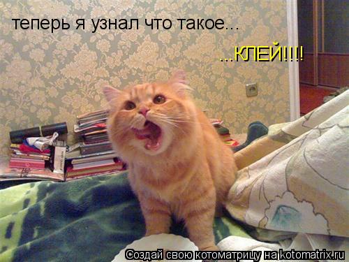 теперь я узнал что такое... ...КЛЕЙ!!!!... Котоматрица: теперь я узнал что такое... ...КЛЕЙ!!!!