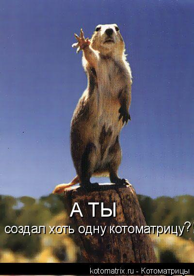 А ТЫ создал хоть одну котоматрицу ?... Котоматрица: А ТЫ создал хоть одну котоматрицу ?