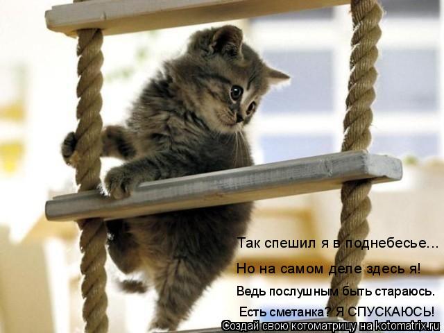 Так спешил я в поднебесье... Но на самом деле здесь я! Ведь послушным быть стараюсь. Есть сметанка? Я... Котоматрица: Так спешил я в поднебесье... Но на самом деле здесь я! Ведь послушным быть стараюсь. Есть сметанка? Я СПУСКАЮСЬ!