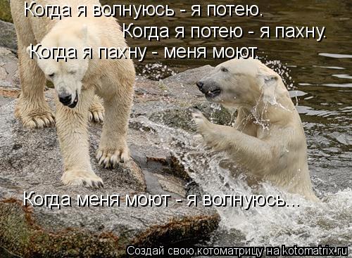 Когда я волнуюсь - я потею. Когда я потею - я пахну. Когда я пахну - меня моют. Когда меня моют - ... Котоматрица: Когда я волнуюсь - я потею. Когда я потею - я пахну. Когда я пахну - меня моют. Когда меня моют - я волнуюсь...