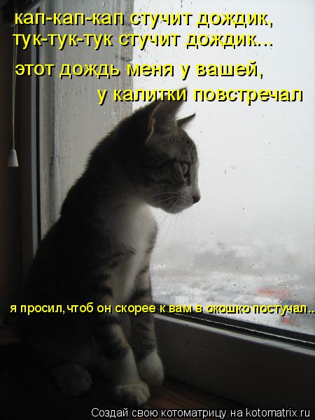 кап-кап-кап стучит дождик, тук-тук-тук стучит дождик... этот дождь меня у вашей, у калитки повстречал... Котоматрица: кап-кап-кап стучит дождик, тук-тук-тук стучит дождик... этот дождь меня у вашей, у калитки повстречал я просил,чтоб он скорее к вам в окошко по