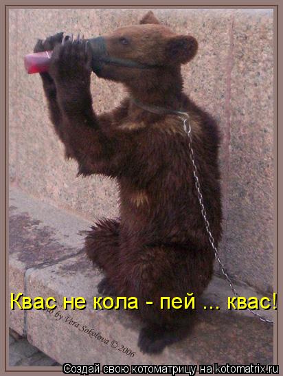 Квас не кола - пей ... квас!... Котоматрица: Квас не кола - пей ... квас!