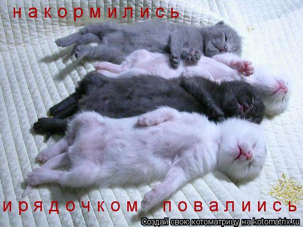 н а к о р м и л и с ь и р я д о ч к о м п о в а л и и с ь... Котоматрица: н а к о р м и л и с ь и р я д о ч к о м п о в а л и и с ь