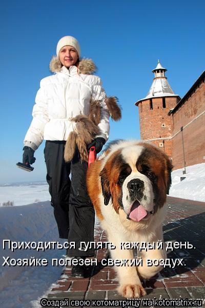 Котоматрица: Приходиться гулять каждый день. Хозяйке полезен свежий воздух.