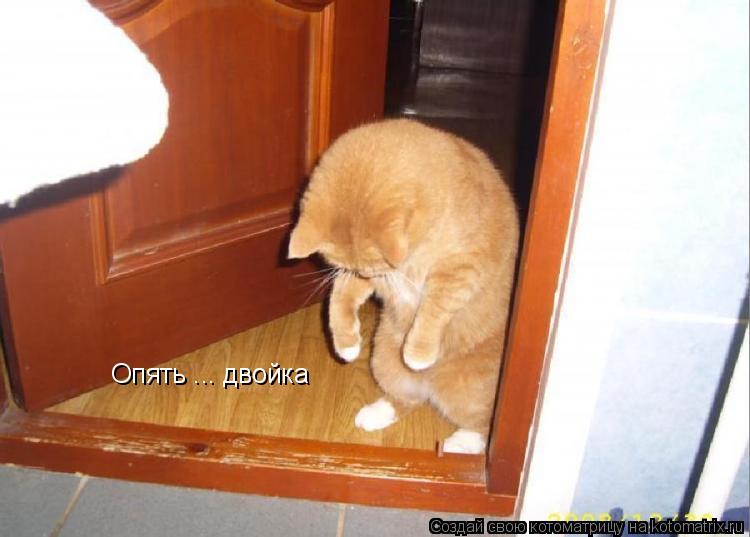 Опять ... двойка... Котоматрица: Опять ... двойка