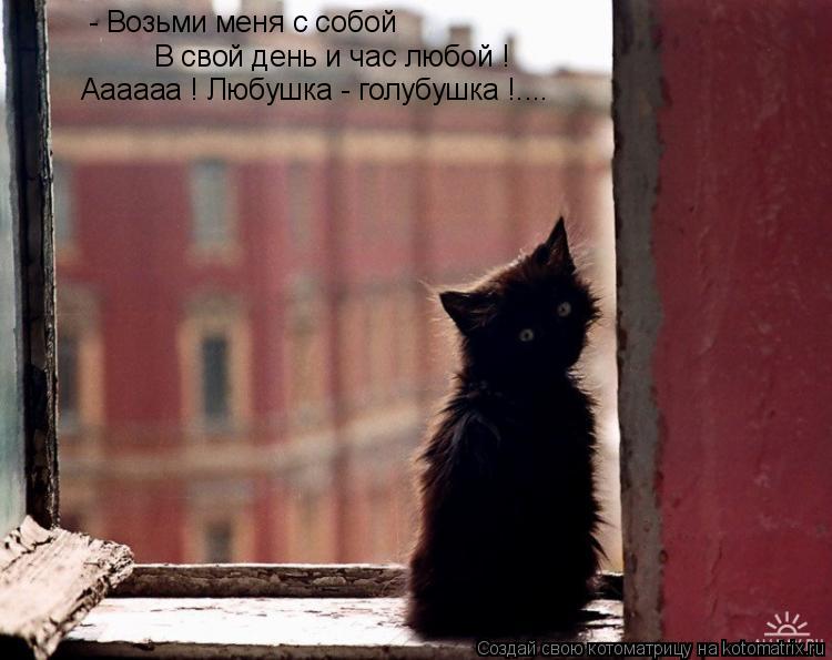 - Возьми меня с собой В свой день и час любой ! Аааааа ! Любушка - голубушка !....... Котоматрица: - Возьми меня с собой В свой день и час любой ! Аааааа ! Любушка - голубушка !....